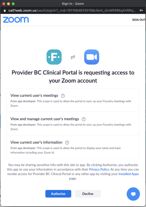 Zoom screenshot