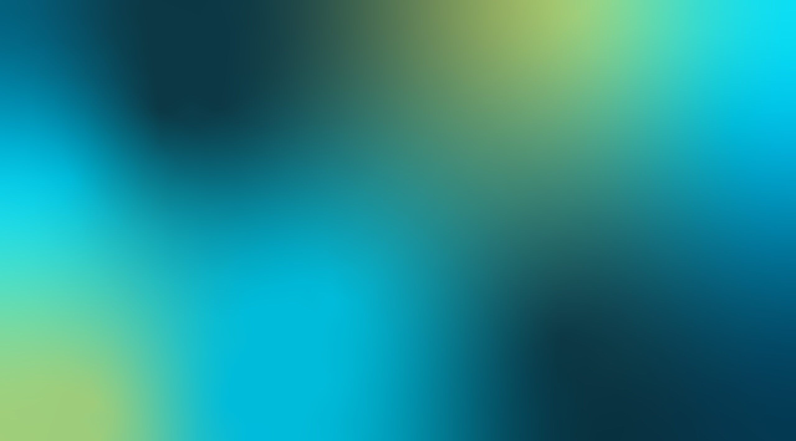 Land Acknowledgement