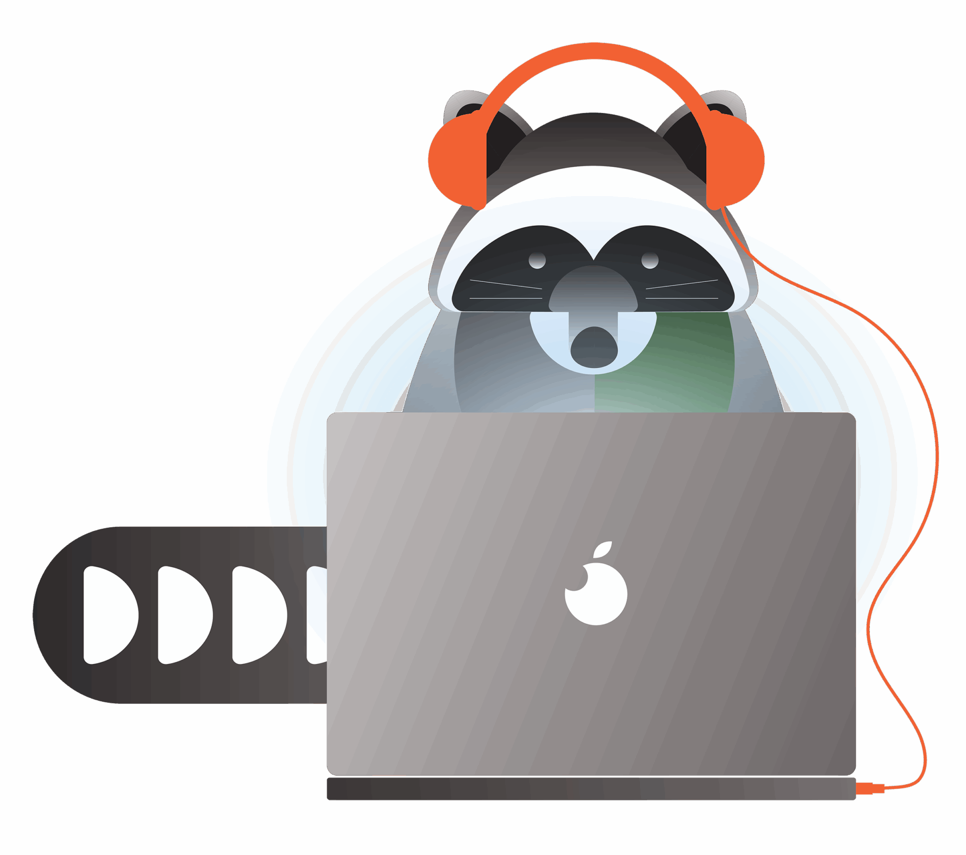 Raccoon with laptop