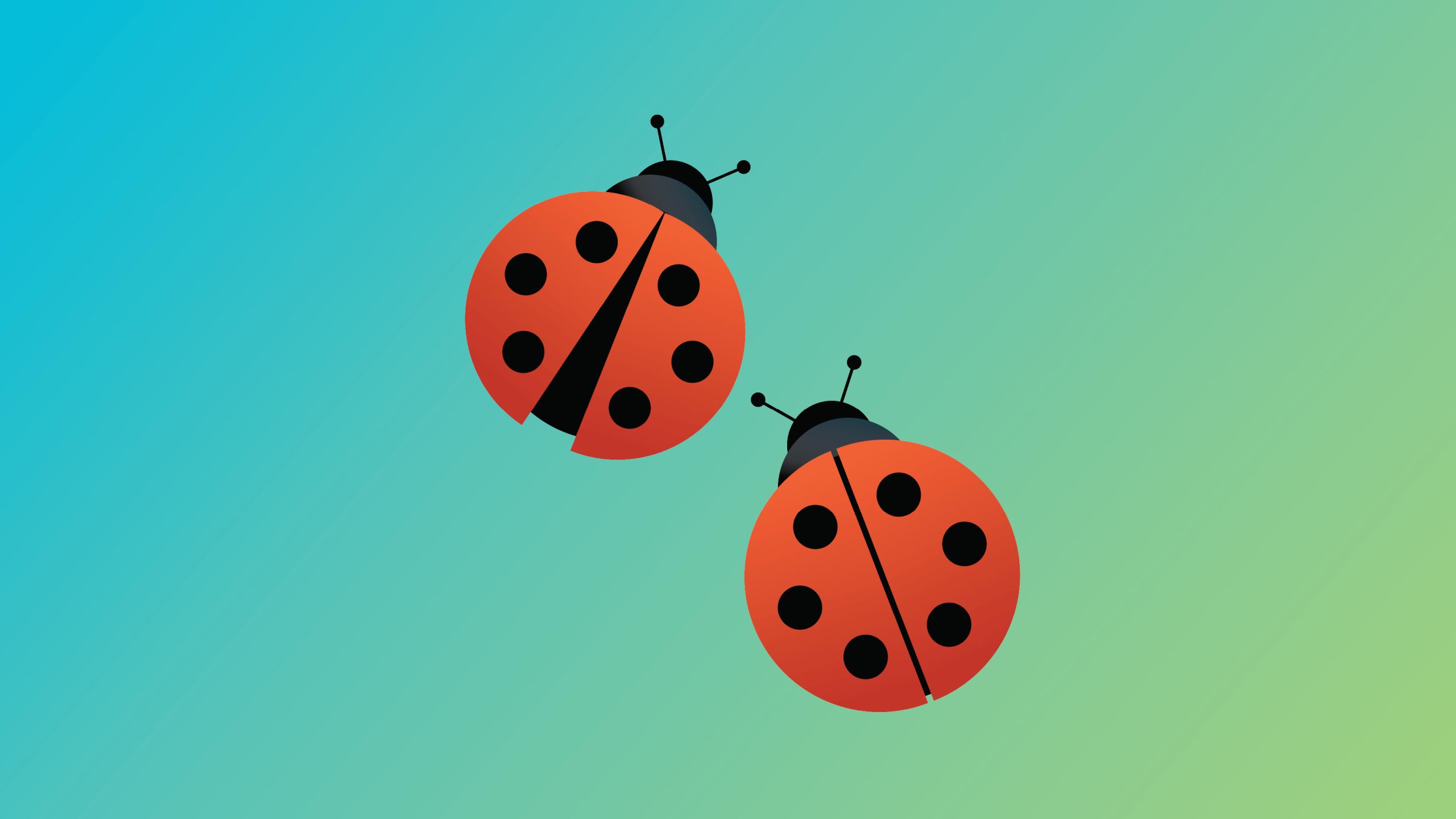 Foundry Vanderhoof (Coming Soon)